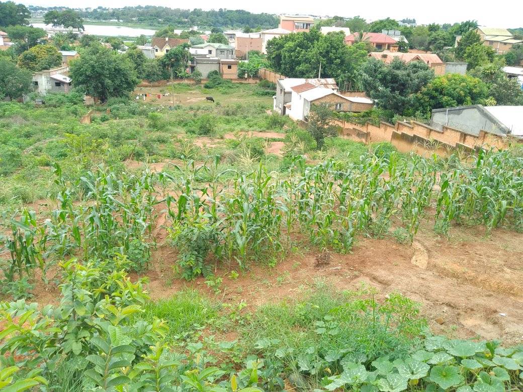 Landwirtschaftsprojekt zeigt erste Erfolge
